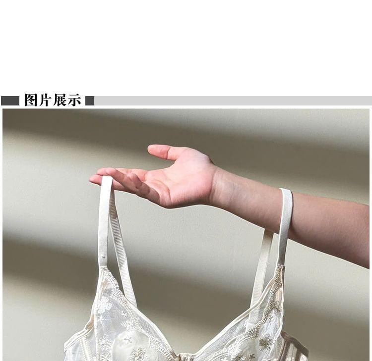 Lace Bra / Panty / Set Product Image