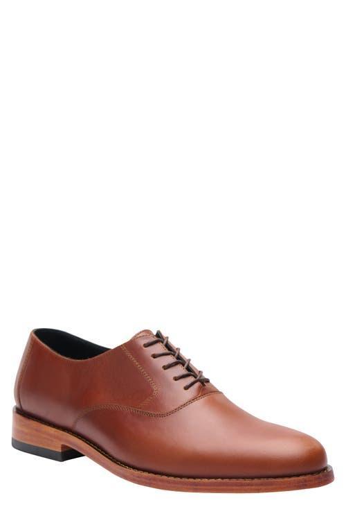 Nisolo Everyday Oxford Product Image