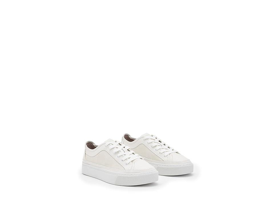 AllSaints Milla Suede Sneakers (Chalk ) Women's Shoes Product Image