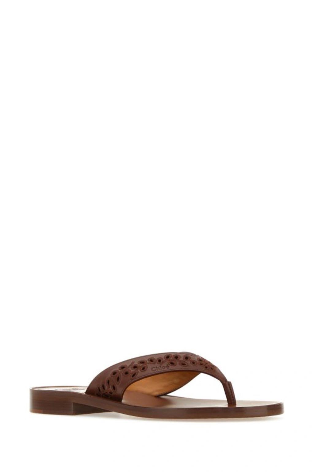 CHLOÉ X Eres Leather Thong Flip Flops In Brown Product Image