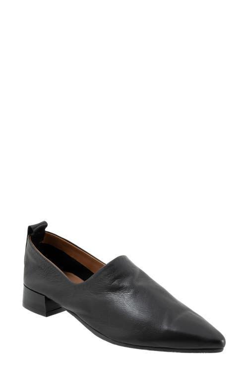 Bueno Marley Pointed Toe Loafer Product Image