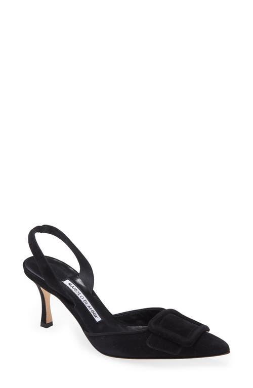 Manolo Blahnik Maysli Buckle Slingback Pointed Toe Pump Product Image