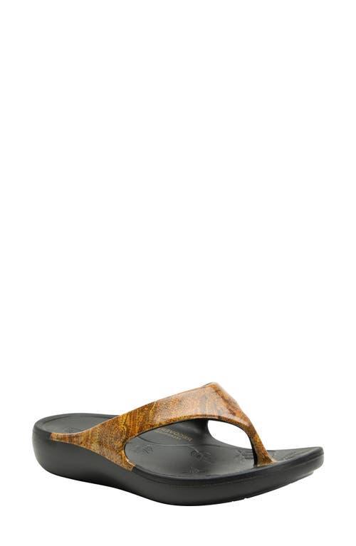 Alegria Ode Women's Shoes Product Image