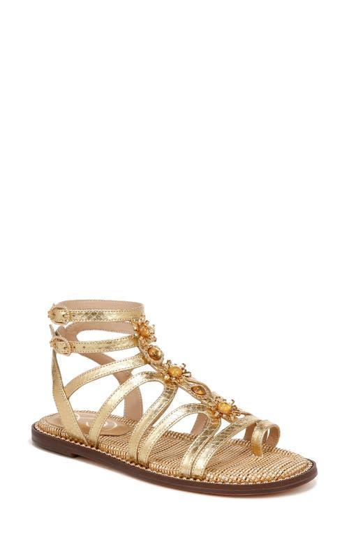 Sam Edelman Tianna Gladiator Sandal Print Product Image