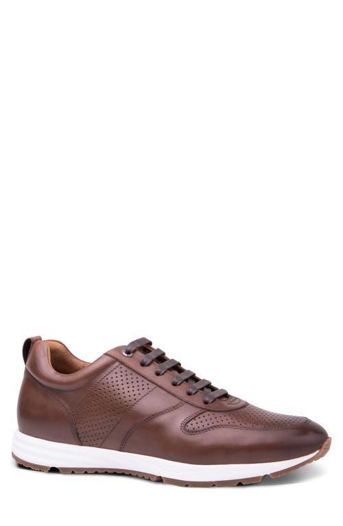 Gordon Rush Connor Lace-Up Sneaker Product Image