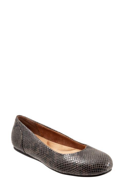 SoftWalk Sonoma (Grey Snake Leather) Women's Shoes Product Image