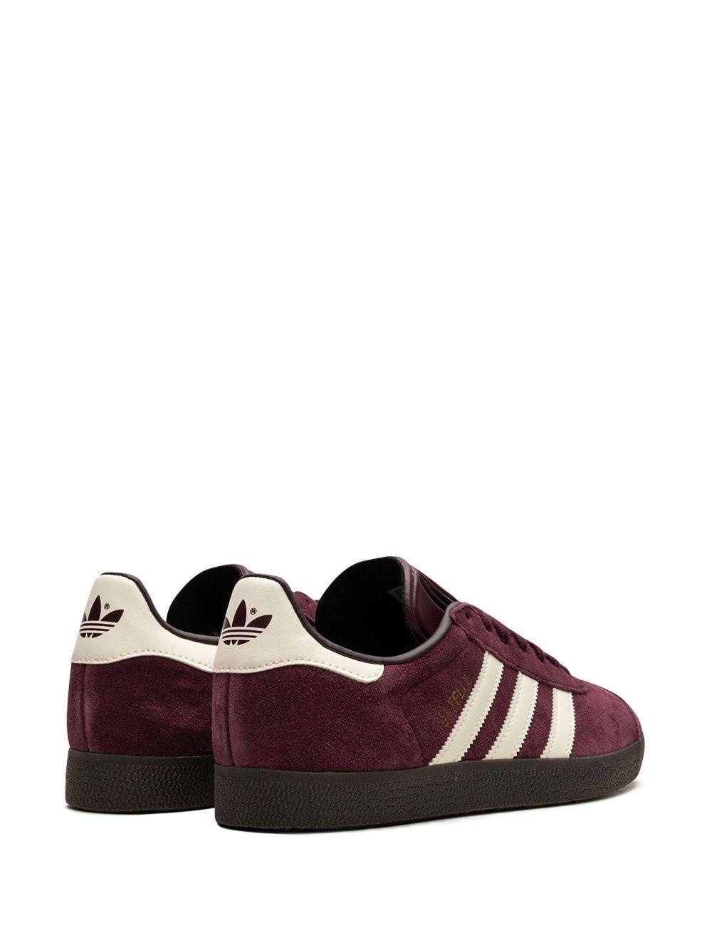 Gazelle "Maroon" sneakers Product Image