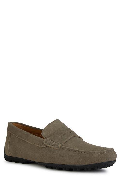 Geox Monet 2Fit 9 Driving Moccasin Product Image