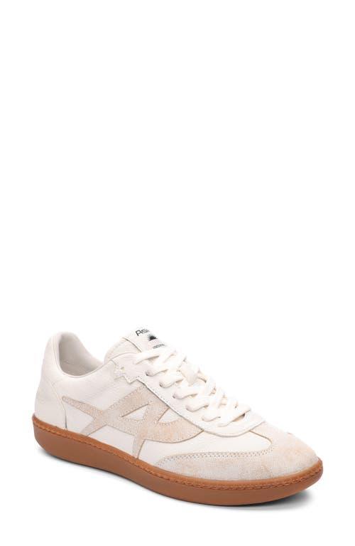 Ash Sunset Retro Sneaker Product Image