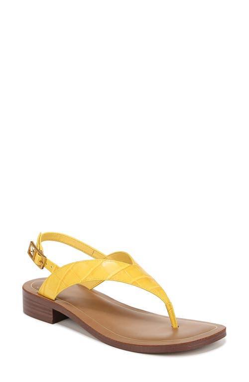 SARTO by Franco Sarto Iris Slingback Sandal Product Image