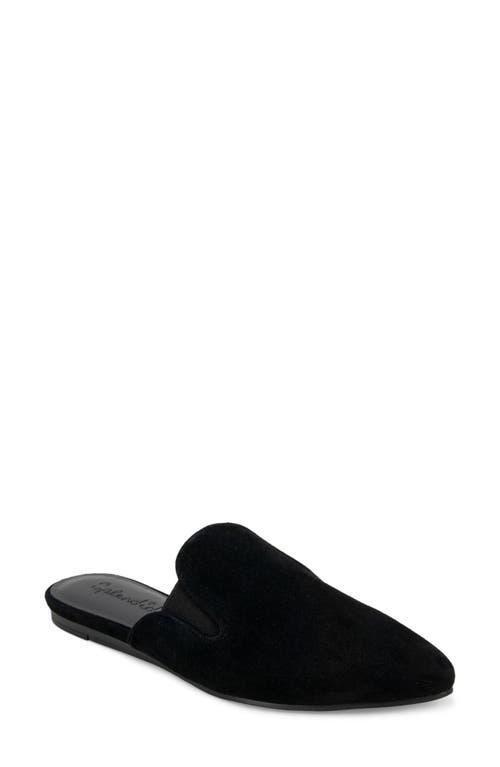 Splendid Womens Liza Pointed Toe Slip On Flats Product Image