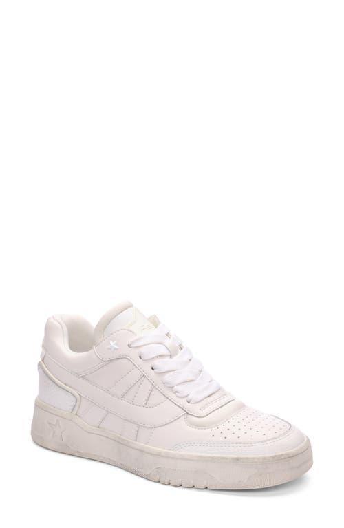 Ash Blake Sneaker Product Image