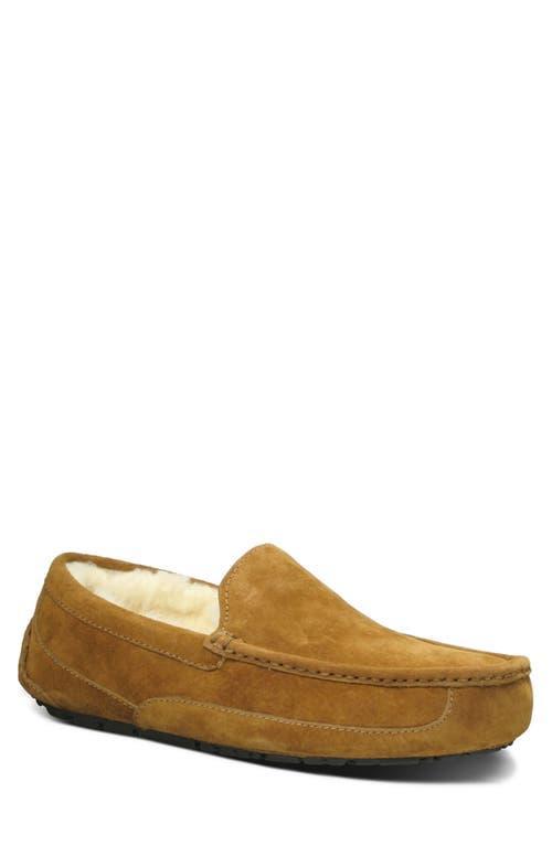 UGG Mens UGG Ascot - Mens Shoes Product Image