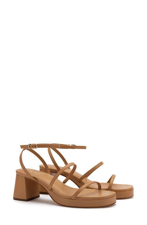 Larroud Gio Block Heel Strappy Sandal Product Image