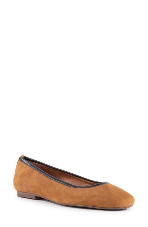 Seychelles City Streets Ballet Flat Product Image