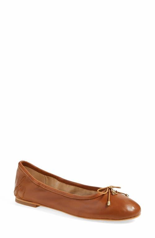 Sam Edelman Felicia Flat - Wide Width Available Product Image