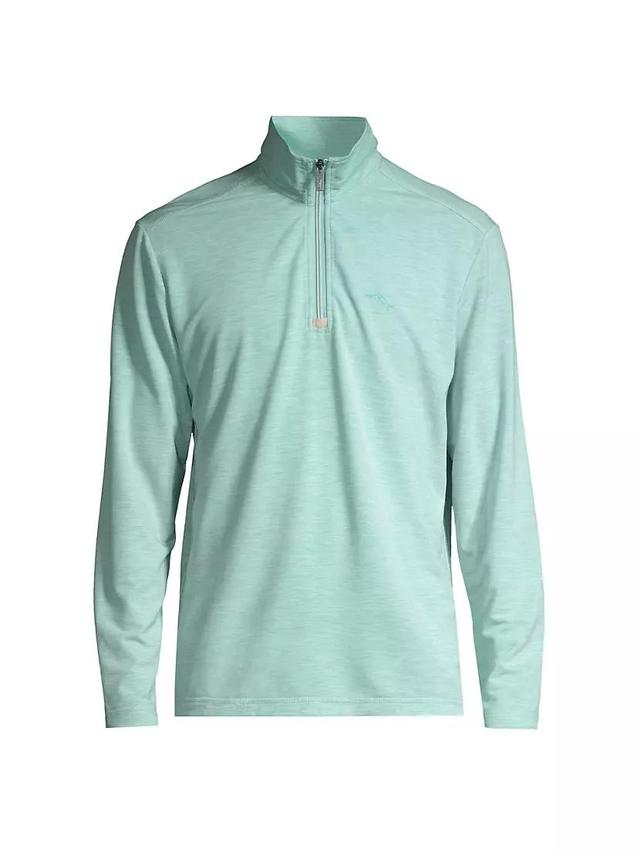 Mens New Coasta Vera Half-Zip Sweatshirt Product Image