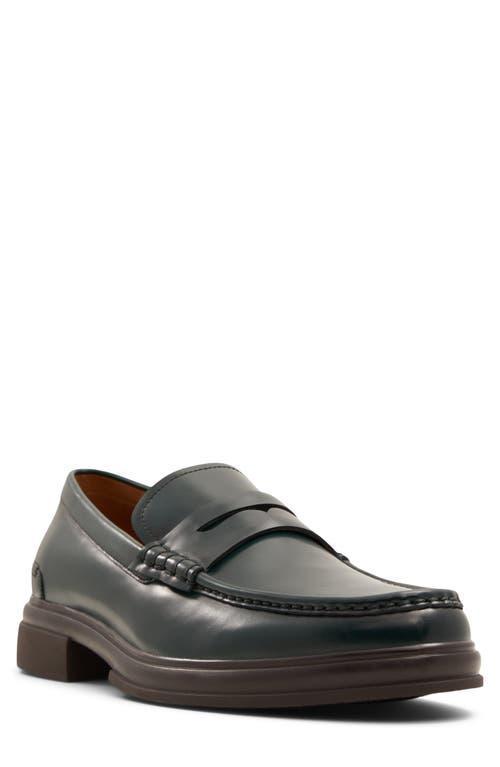 ALDO Tucker Penny Loafer Product Image