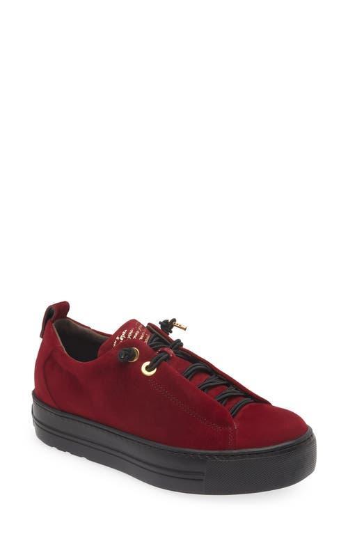 Paul Green Faye Sneaker Product Image