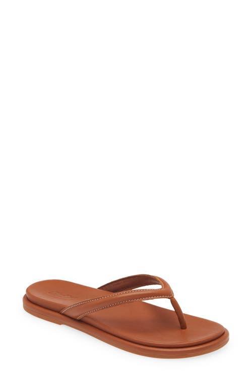 OluKai Tiare Flip Flop Product Image