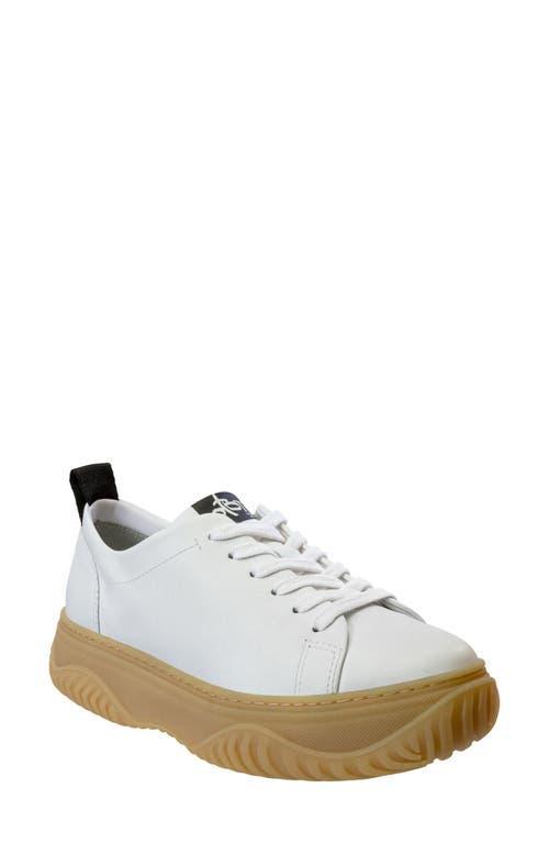 OTBT Pangea Low Top Sneaker Product Image