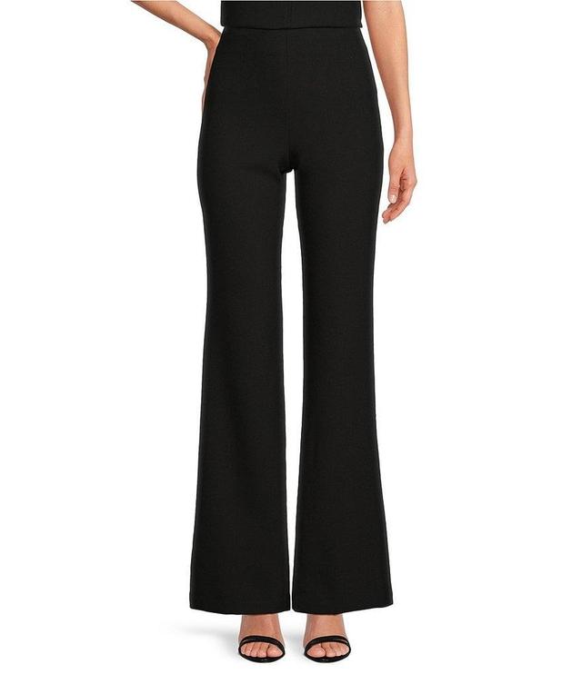 Trina Turk Chimayo High Waisted Side Zip Flared Hem Pants Product Image