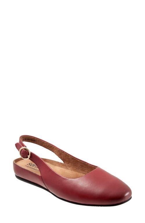 SoftWalk Sandy Slingback Flat Sandal Product Image