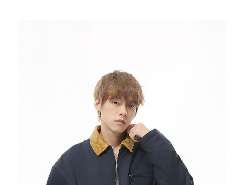 Contrast Collar Zip Jacket Product Image