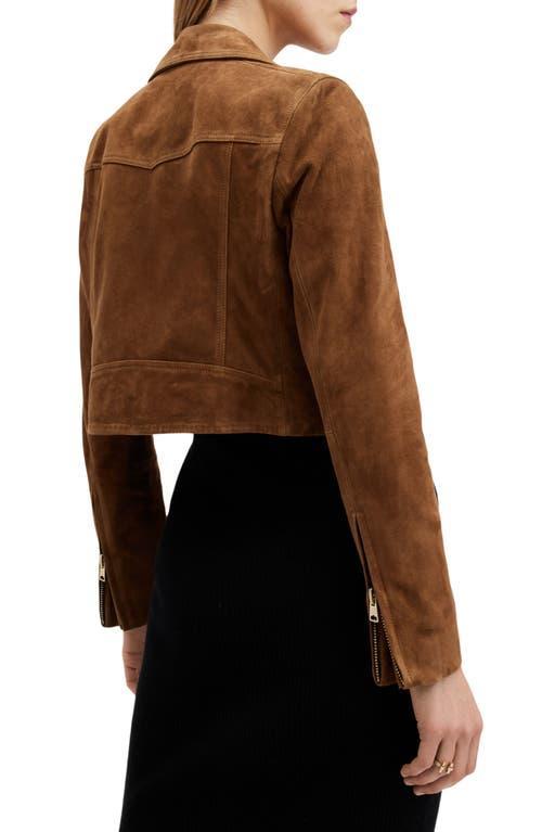 Suede Dalby Crop Biker Jacket In Sugar Brown Product Image