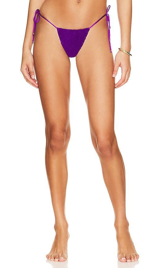 Crush Bikini Bottom Product Image