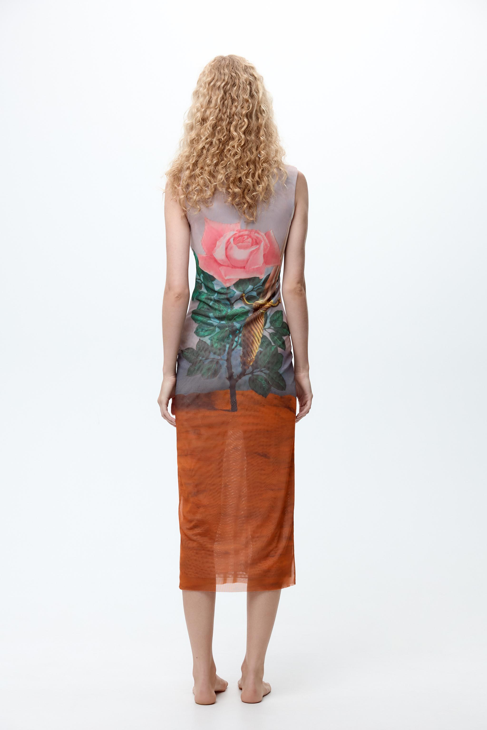 RENÉ MAGRITTE PRINT TULLE DRESS Product Image