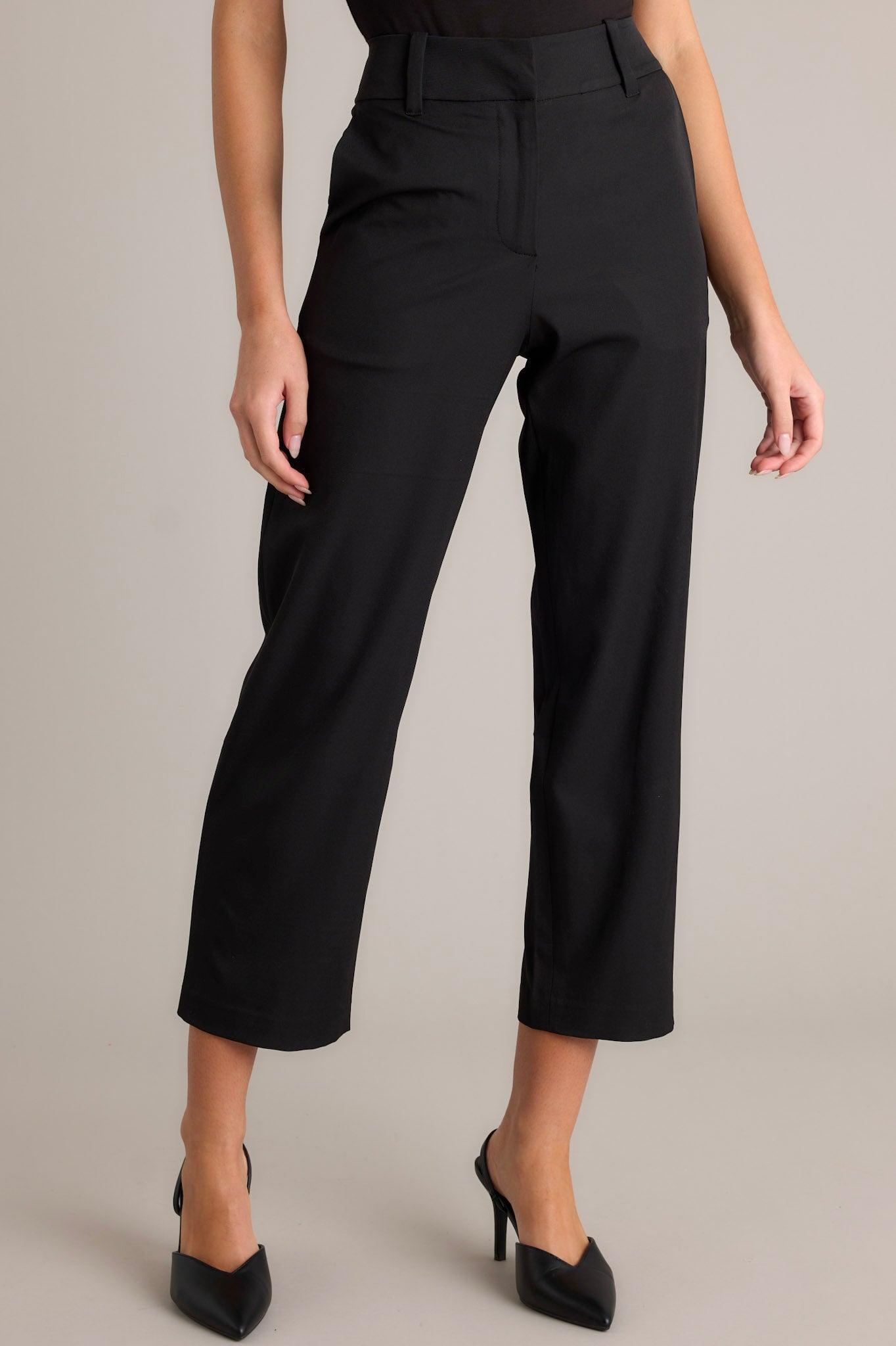 City Chic Black Straight Leg Dress Pants Product Image