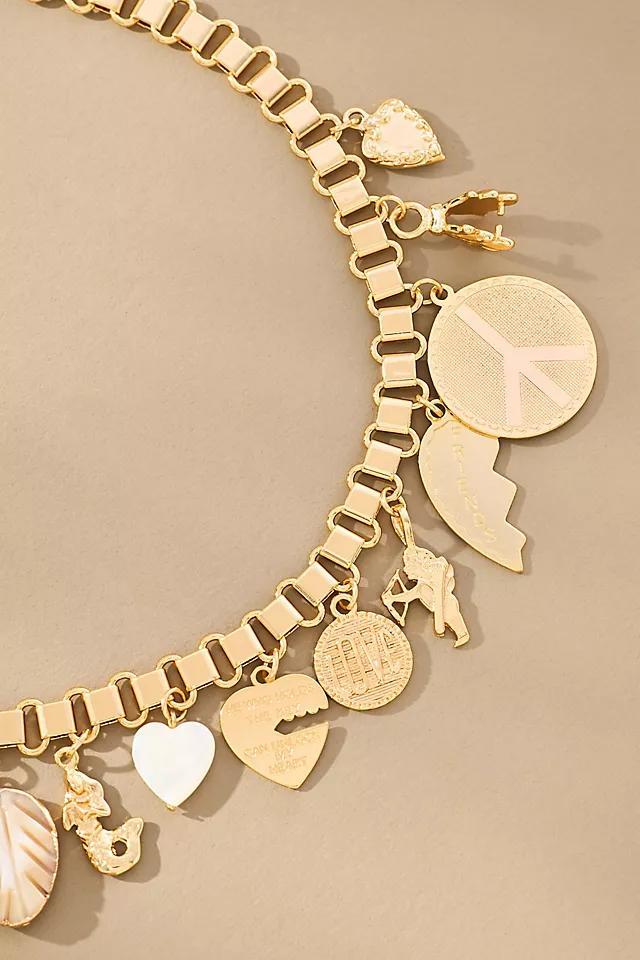 Mixed Charm Necklace Product Image