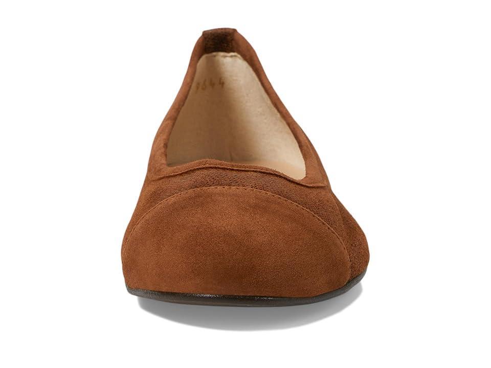 French Sole Tiffany Mamba Suede) Women's Flat Shoes Product Image