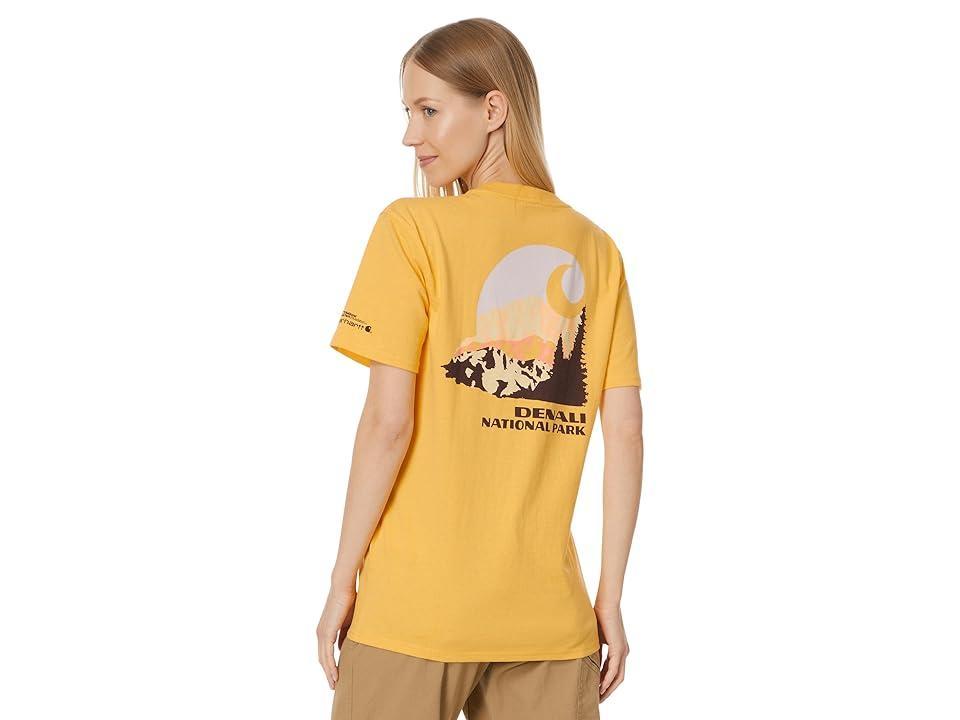 Carhartt Loose Fit Heavyweight Short Sleeve Denali National Park Graphic T-Shirt (Vivid Heather) Women's Clothing Product Image