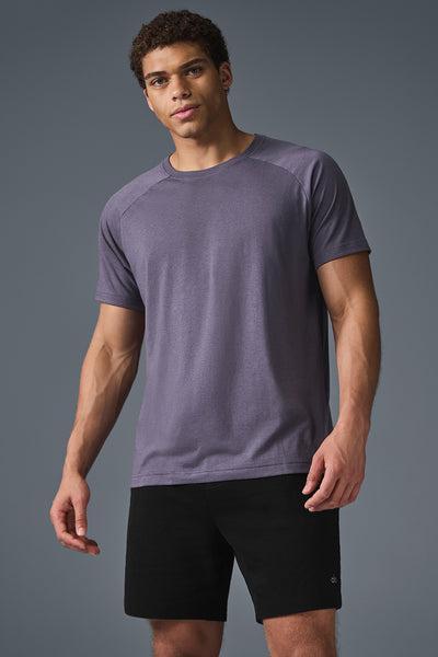 Triumph Raglan Tee - Italian Plum Product Image