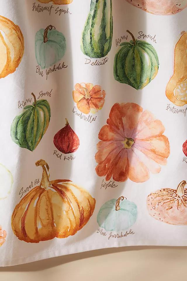 Types of Pumpkins Dish Towel Product Image