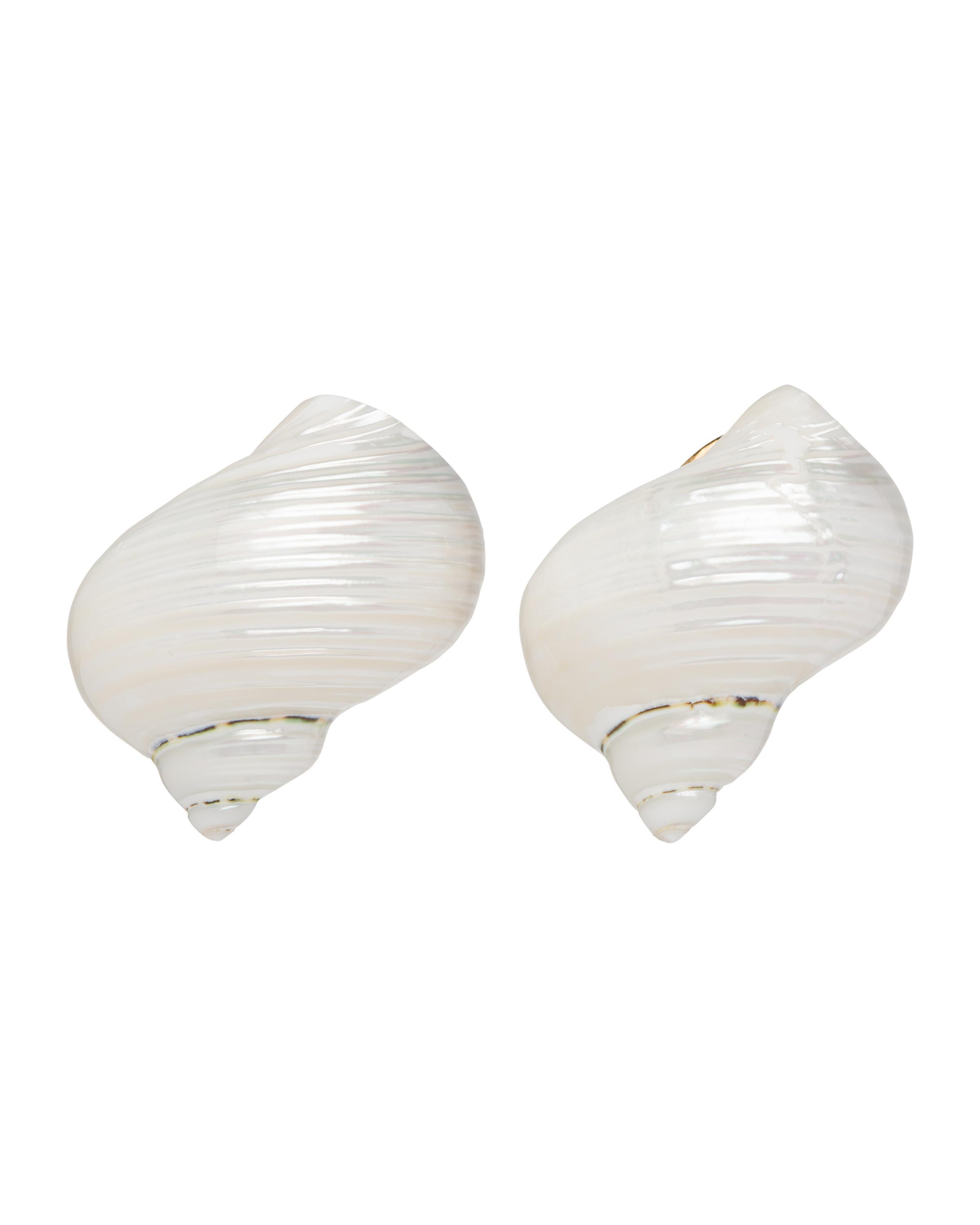 Silver earrings with shells Product Image