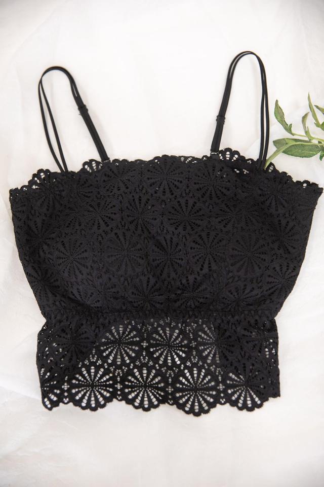 Black Scallop Lace Bralette Cami Product Image