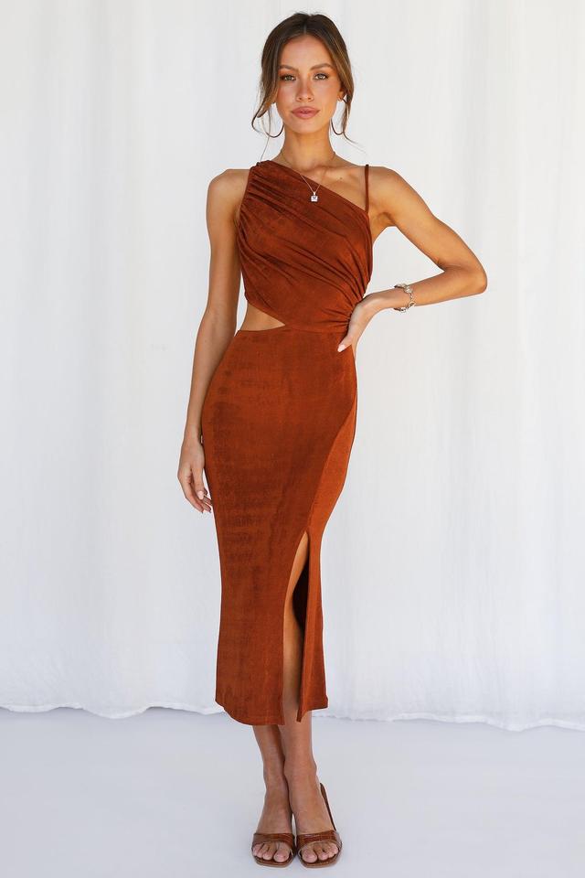 Block It Out Midi Dress Rust Product Image