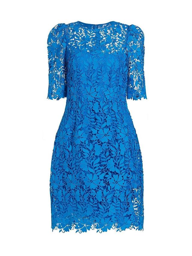 Womens Lace Fit & Flare Cocktail Dress Product Image