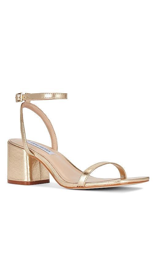 Steve Madden Audrina Ankle Strap Sandal Product Image