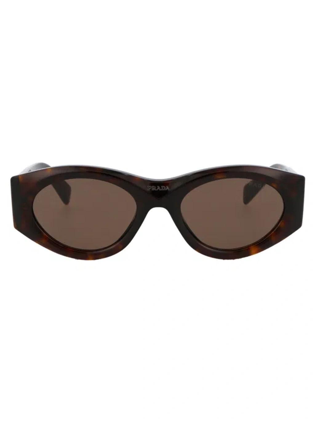 Sunglasses 0 Pr 20 Zs 2 Au06 B In Brown Product Image