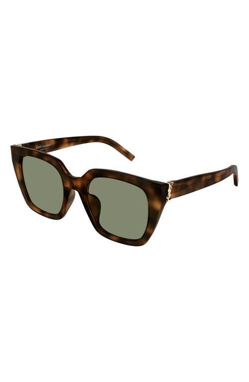 SAINT LAURENT Ysl Acetate Cat-eye Sunglasses In Shiny Medium Havana Product Image