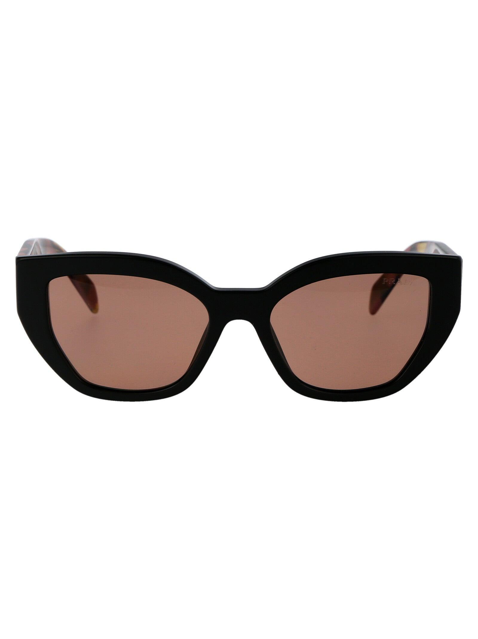 Sunglasses 0 Pr A09 S 12 O10 D In Brown Product Image