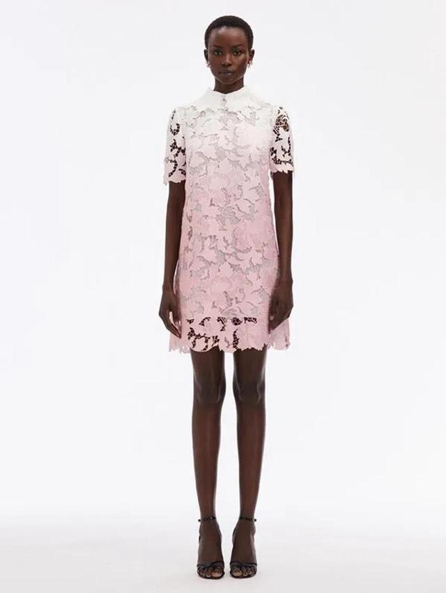 OSCAR DE LA RENTA Ombre Peony Guipure Shift Dress In Soft Pink Product Image