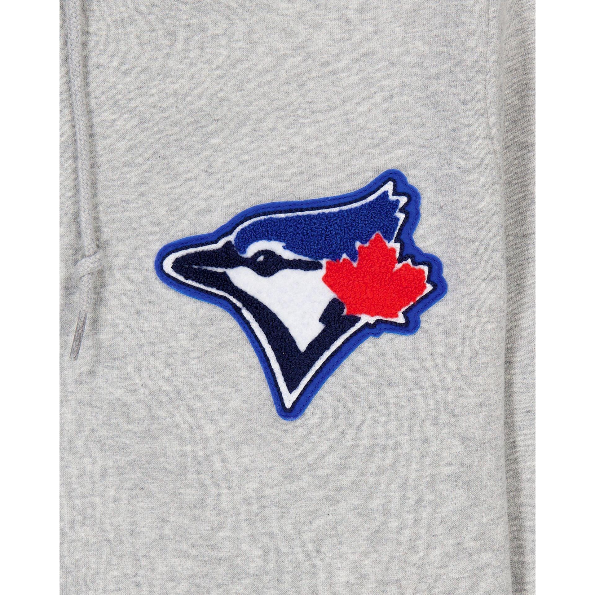 Toronto Blue Jays Gray Logo Select Full-Zip Hoodie Male Product Image