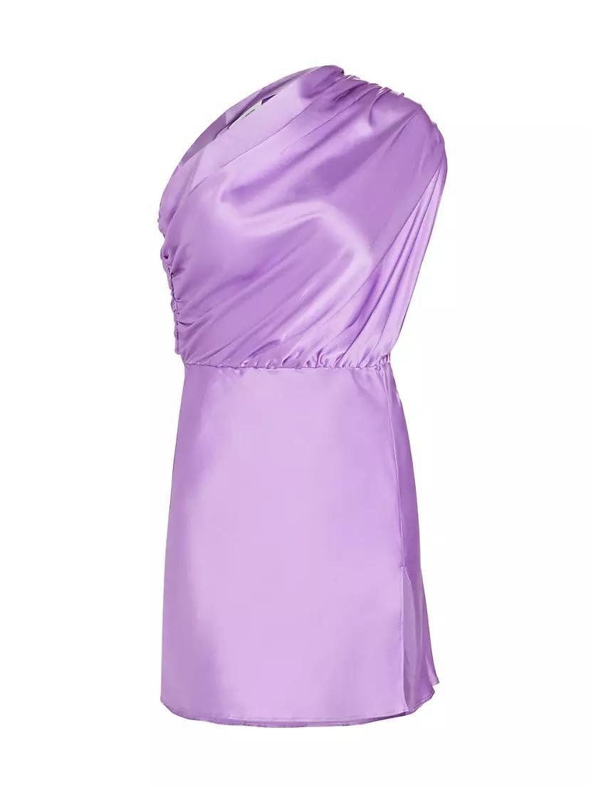 Dupree Silk Minidress Product Image