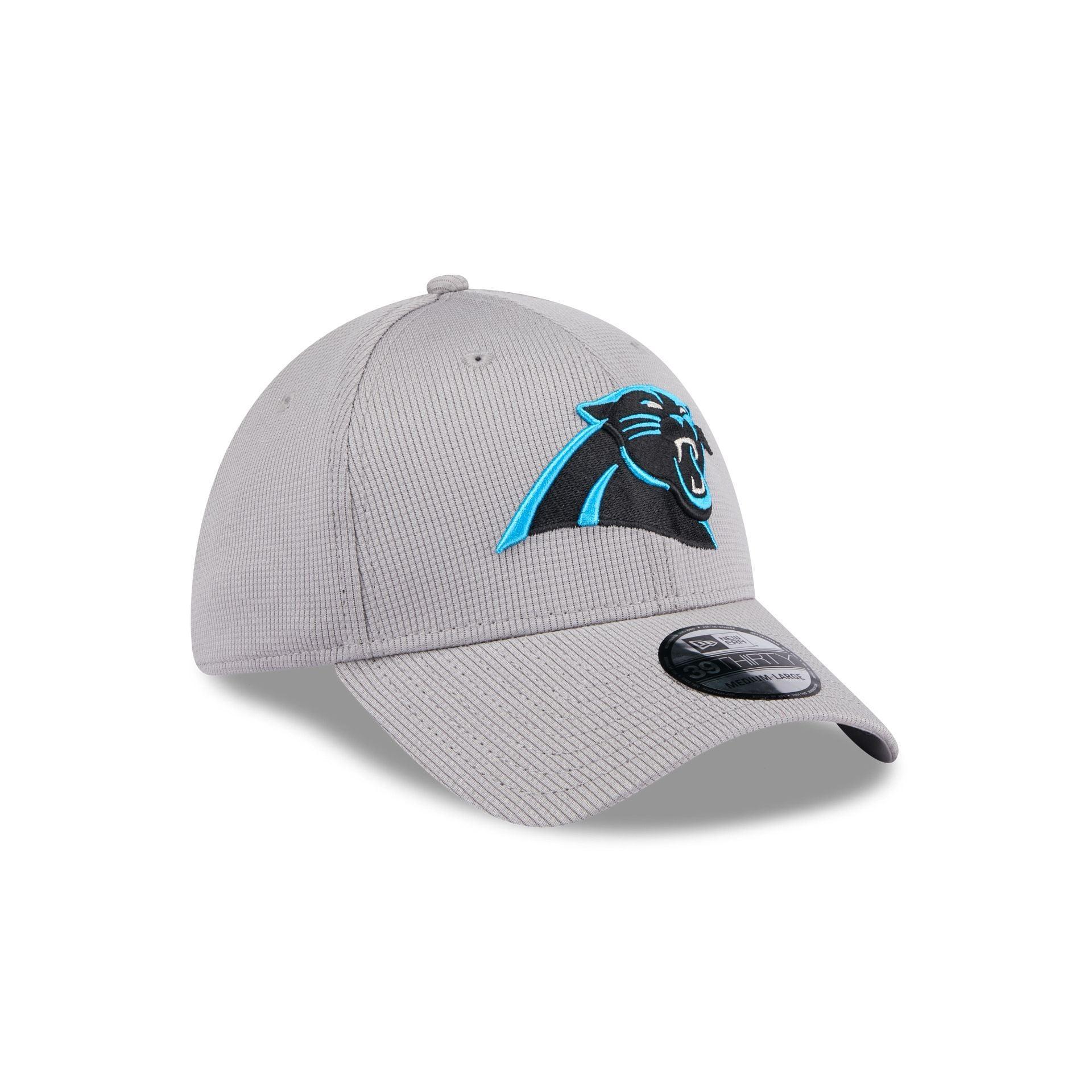 Carolina Panthers Active 39THIRTY Stretch Fit Hat Male Product Image