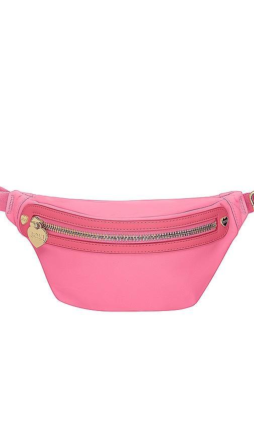 Classic Fanny Pack Product Image